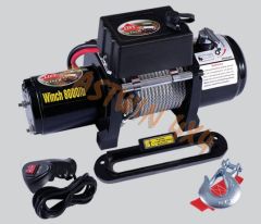 China auto Truck Winch