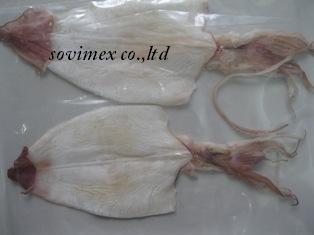 Dried squid