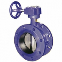 Manual flanged butterfly valves