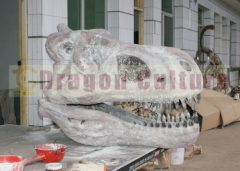 dinosaur fossil replica of dinosaur skeleton skull