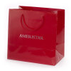 Glossy lamination gift paper bags