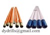 downhole motor