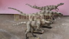 Park equipment Simulation dinosaur