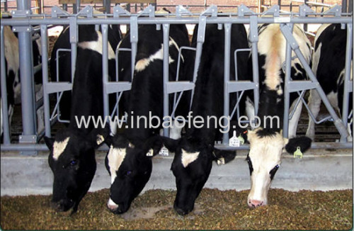 xinbaofeng cattle feed trough