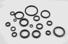 Oil seal-TC