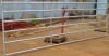 Agriculture >> Animal & Plant Extract p-l47 new style A1 quality livestock gate.