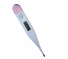 clinical thermometer baby promotion gift