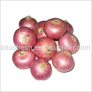 onion