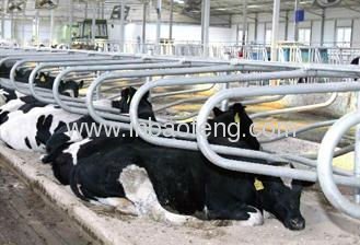 hot sale cattle pen
