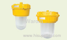 Explosion-proof Light Fittings