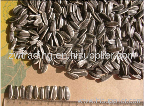 Chinese Raw Sunflower Seeds