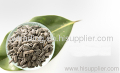 New Crop Black Sunflower Seeds