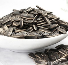 Chinese Sunflower Seeds Kernel