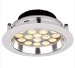 18W/24W/30W Aluminium Power LED Downlight/Spotlight