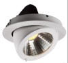 20W/25W Swivel Reflector COB high Lumen LED down light