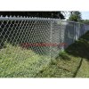 Agriculture >> Animal & Plant Extract p-m11 new style high quality galvanized security mesh fence