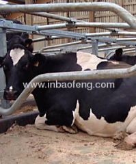 Good quality cattle stall