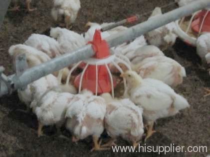 Automatic feeding system poultry equipment feed pan