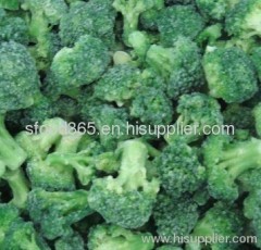 IQF broccoli frozen broccoli