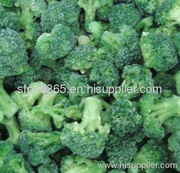 IQF broccoli frozen broccoli