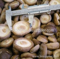 IQF shiitake frozen mushroom