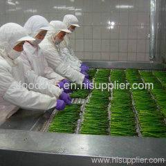 IQF green asparagus spring