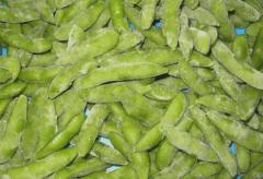 Frozen Green Soy Bean