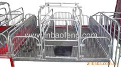 High quality galvanized pipe pig farrowing crates