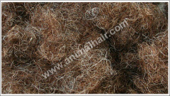 Horse Hair For violin bow