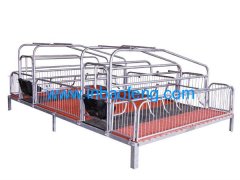 Gestation Pig Crate equipment