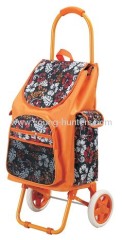 colorful shopping trolley for travel