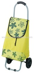 new design trolley shopping bag