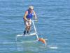 Look! Best selling! Water sports equipment-waterskipper