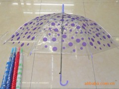 Best selling 2012 new style fashion colorful printed PVC transparent umbrella