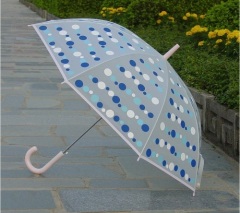 21"straight student EVA transparent umbrella