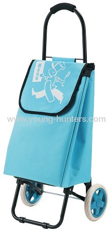 simple useful travel shopping teolley bag