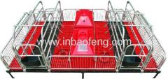 Elevated Farrowing Crate xinbaofeng