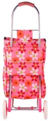 New style colorful shopping trolley