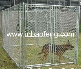 poultry cage dog house