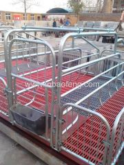 American style best sale poultry equipment