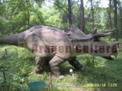 Dinosaur Park Equipment of Triceratops Dinosaur