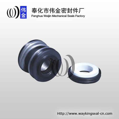 mechanical face seal of pump