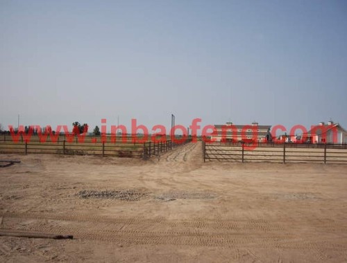 high quality galvanized horse yard panel