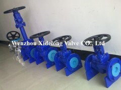 Bellows Globe Valve