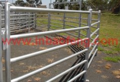 p-k10 new style high quality horse yard