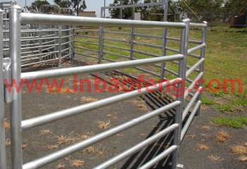 new style high quality horse yard