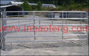 Animal & Plant Extract p-k42 high quality horse fence