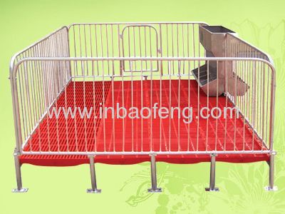 pig equipment gestation crates