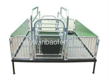 Best sales galvanized pipe pig farrowing crate