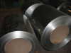 Galvanized Steel Coils